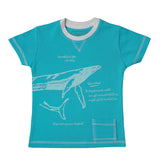 Boys Turquoise Blue Whale Print T-shirt