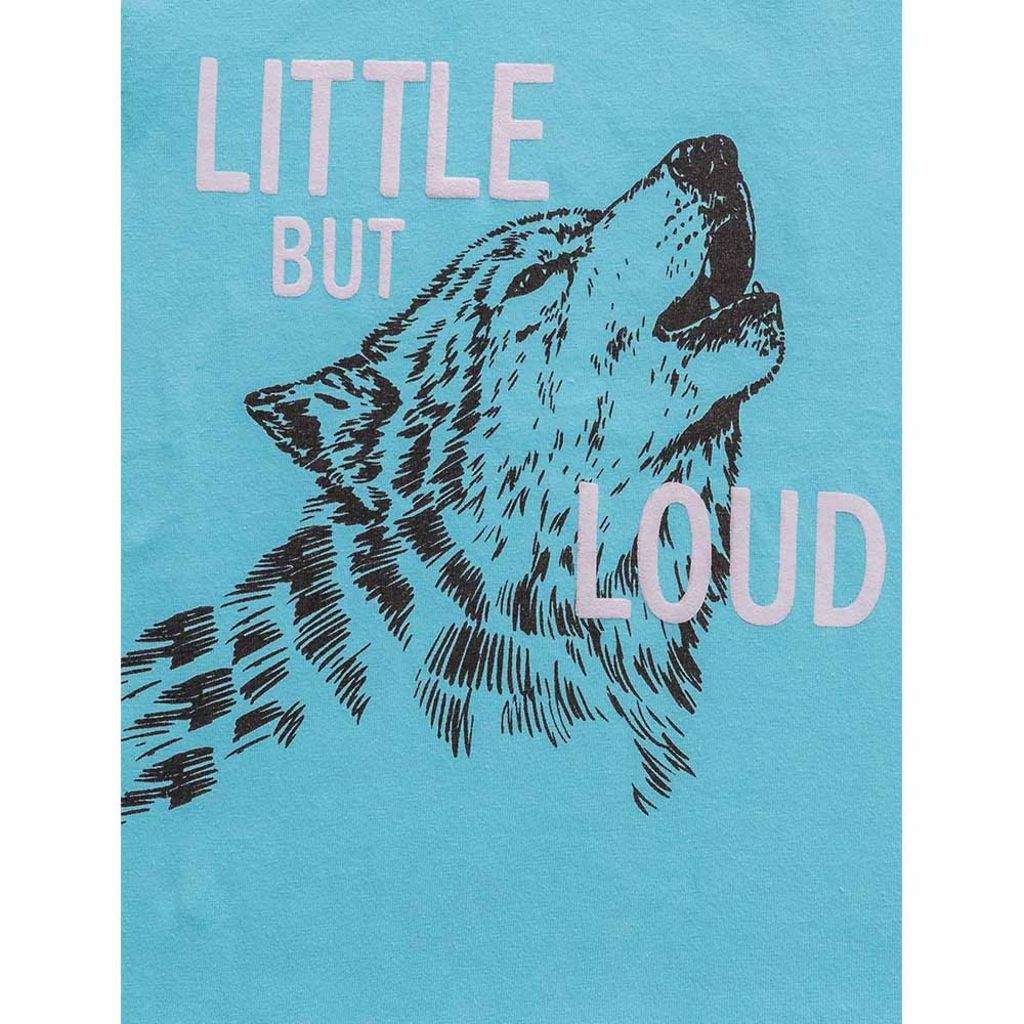 Boys Light Blue Wolf Print T-shirt
