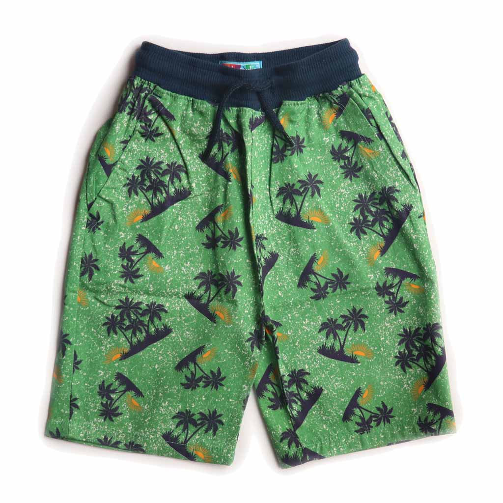 Boys Hawaiin Print Pull On Shorts
