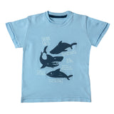 Boys Light Blue Shark Print T-shirt
