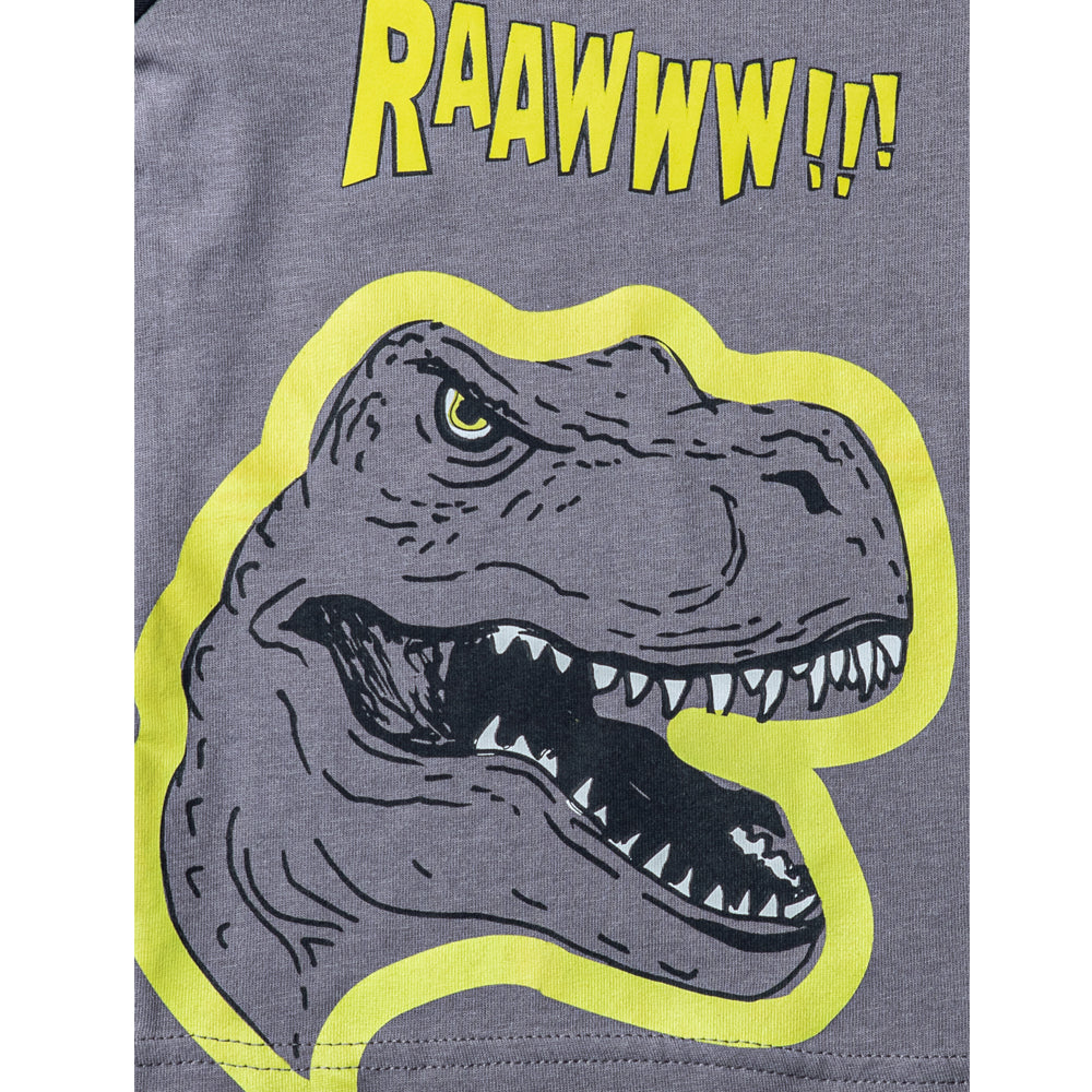 Boys Grey Dino Print Tshirt